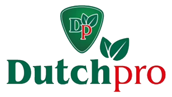 Dutch Pro