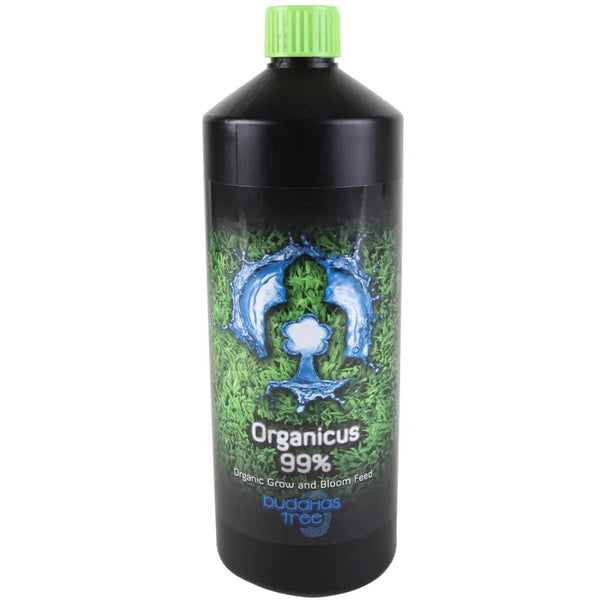 Buddha's Tree - Organicus 99%