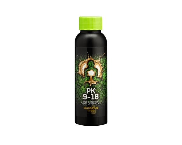 Buddha's Tree - PK 9-18