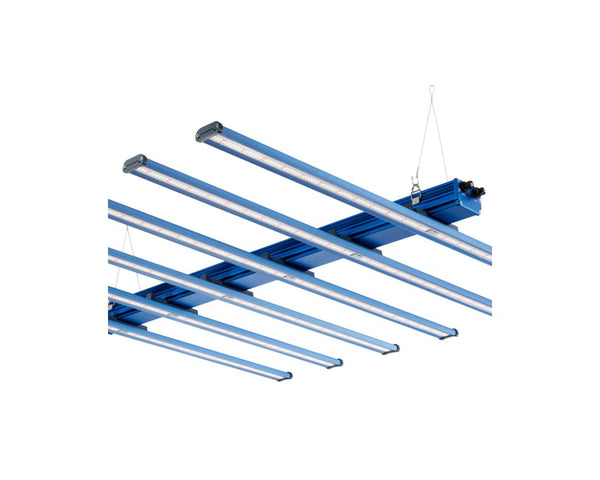 Maxibright - Daylight LED 660w Pro Grow Light