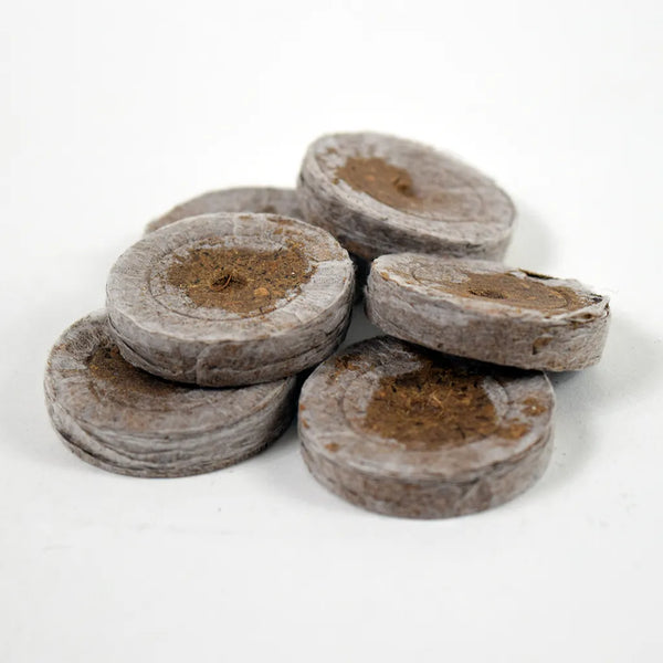 Jiffy - Pro 7 41mm Coco Plug