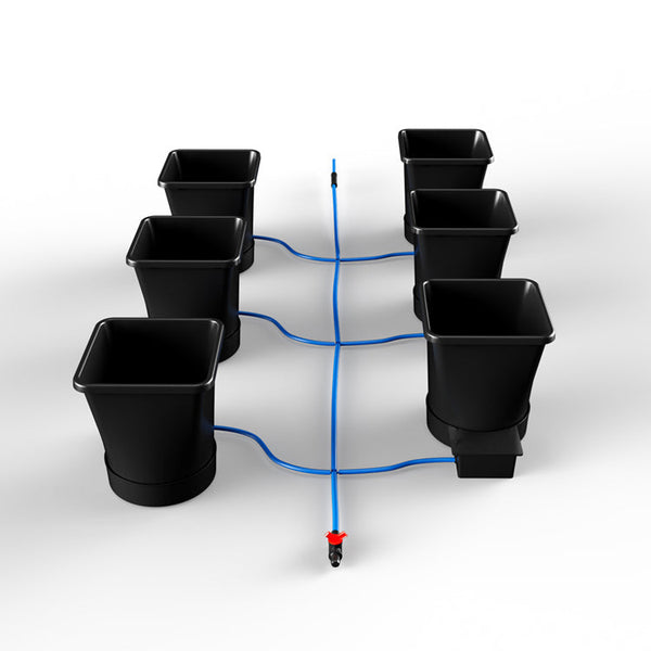 6Pot XL System (NO FLEXI-TANK)