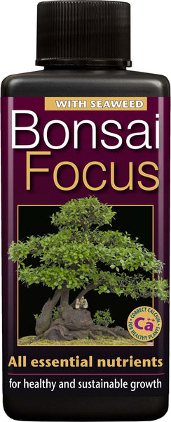 Bonsai Focus