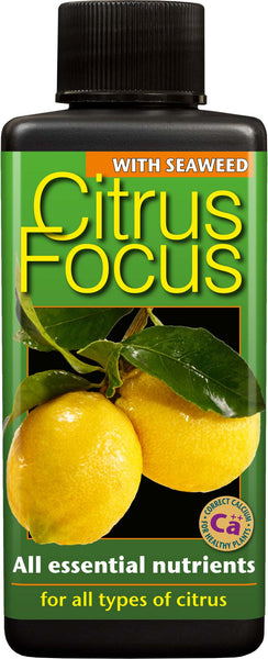 Citrus Focus