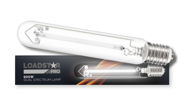 LOADSTAR Dual Spectrum Lamp