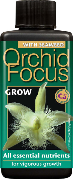 Orchid Focus - Grow