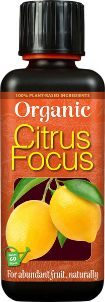Organic - Citrus Focus