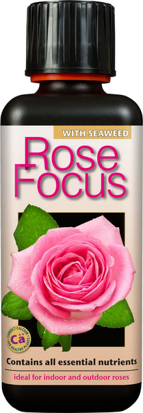 Rose Focus