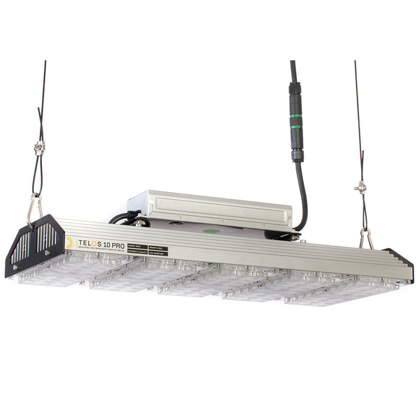 TELOS 0010 PRO