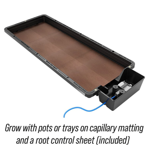 Autopot Tray2Grow