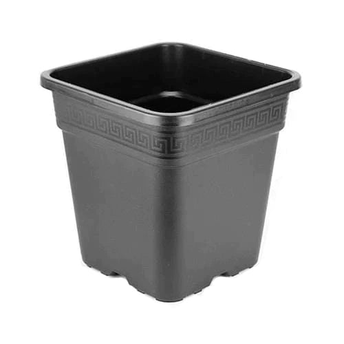 Premium Square Pots (6L-25L)