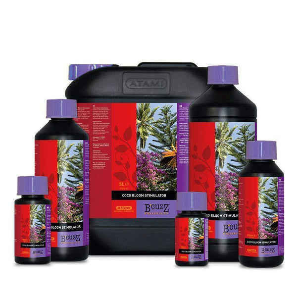 B'Cuzz - Coco Bloom Stimulator