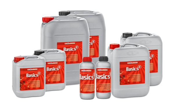 Ecolizer Basics (A&B)