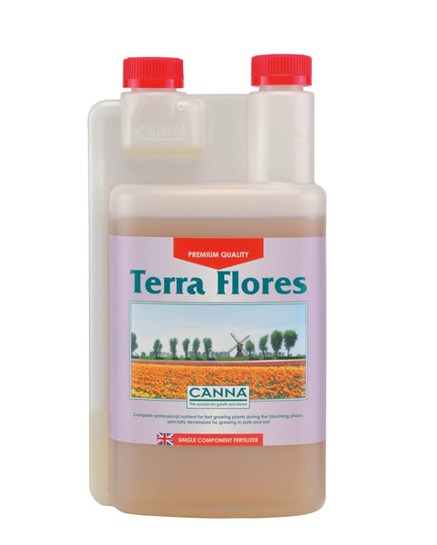 Canna - Terra Flores