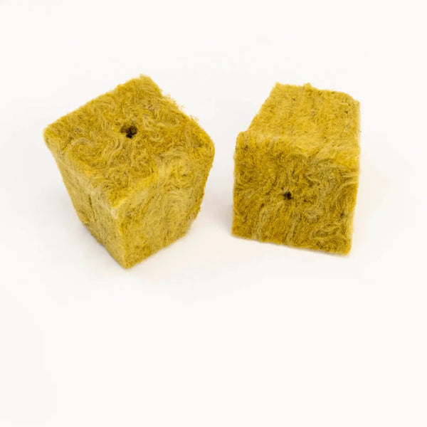 Cultiwool - Cutting Seed Rockwool Cubes 77 Tray 36mm Cube 5mm Hole