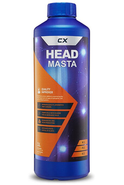 CX - Head Masta