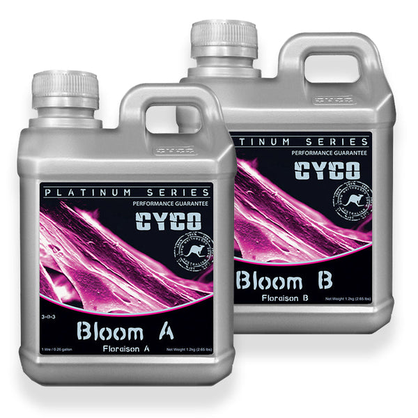 Cyco Bloom A&B