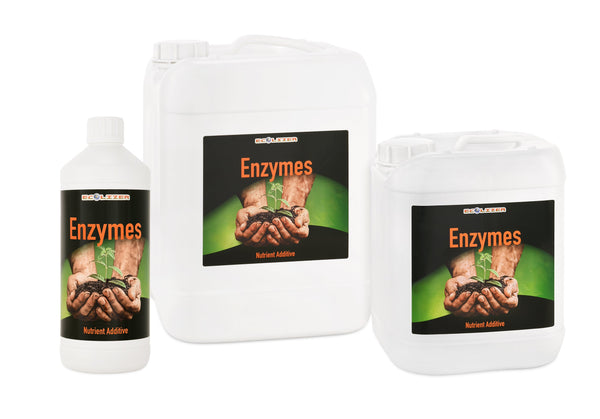 Ecolizer Enzymes
