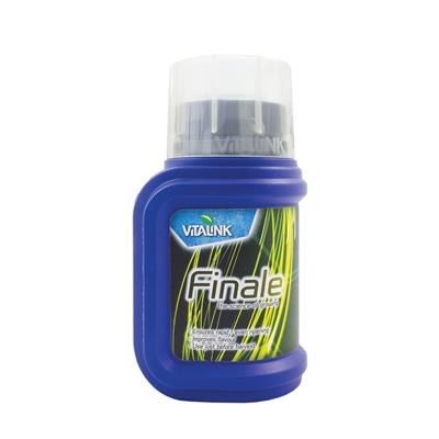 Vitalink - Finale