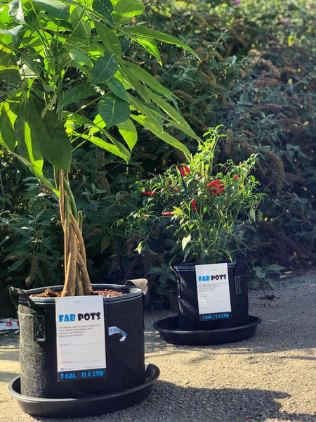 Fab Pot Round Fabric Pots (3.8L - 56.8L)