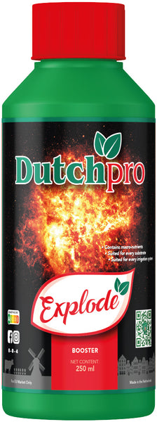 Dutch Pro - Explode