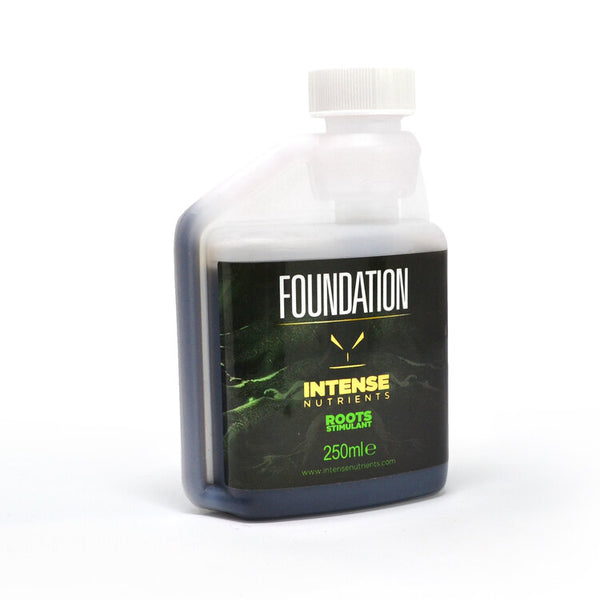 Intense Nutrients - Foundation
