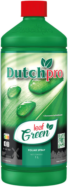 Dutch Pro - Leaf Green
