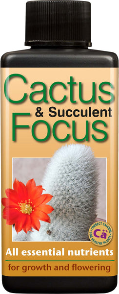 Cactus & Succulent Focus