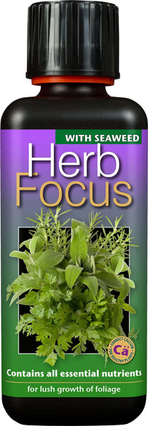 Herb Focus