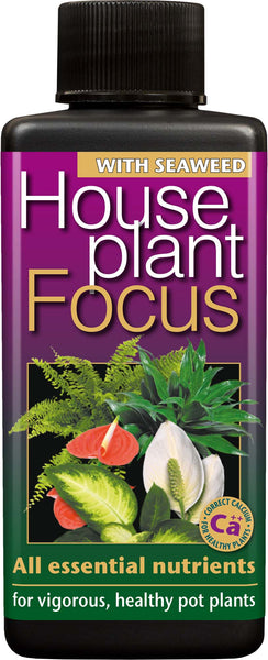 Houseplant Focus