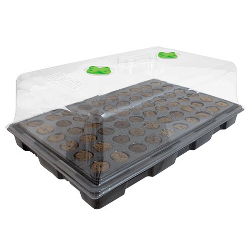 Budget Large Propagator