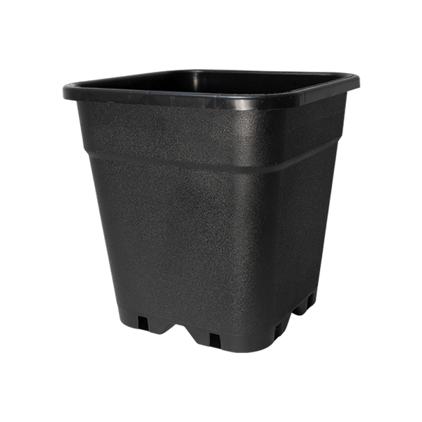 Plastic Square Pots (0.7L-11L) 3L Pot Now £0.45