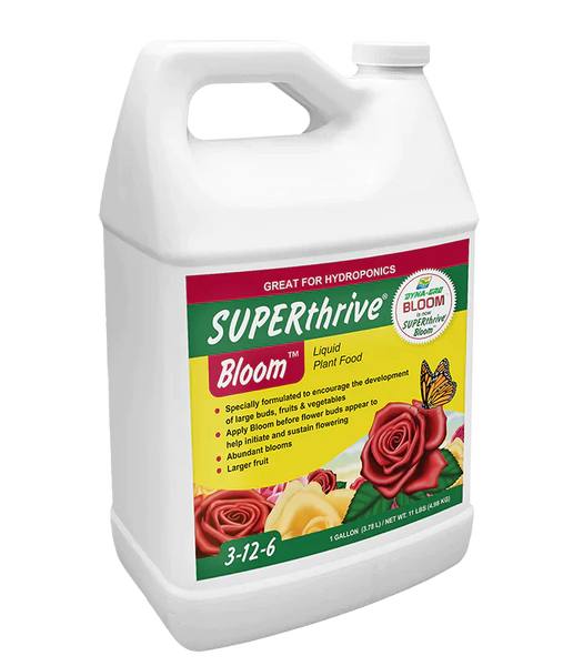 Superthrive - Bloom