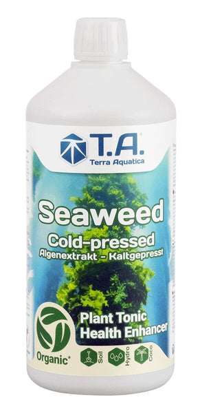 Terra Aquatica - Seaweed