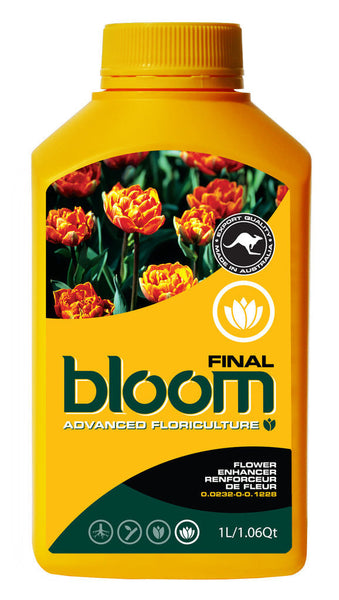 Bloom - Final