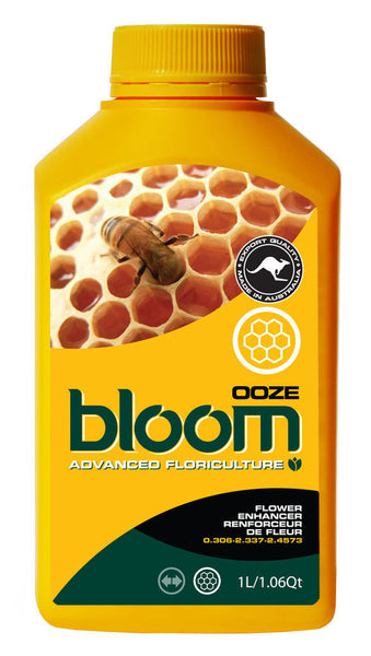 Bloom - Ooze