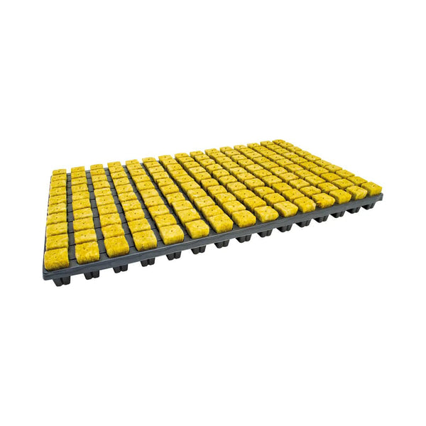 Cultiwool - Cutting Seed Rockwool Cubes 150 Tray 25mm Cube 3mm Hole