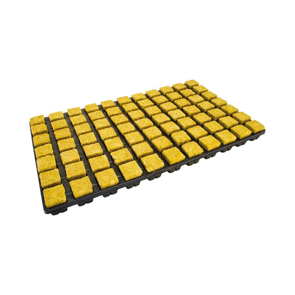 Cultiwool - Cutting Seed Rockwool Cubes 77 Tray 36mm Cube 3mm Hole