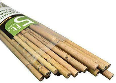 Bamboo Stakes 25pc