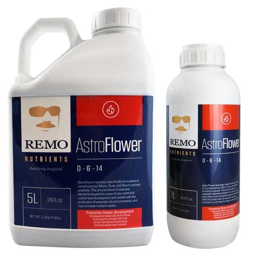 Remo - Astro Flower