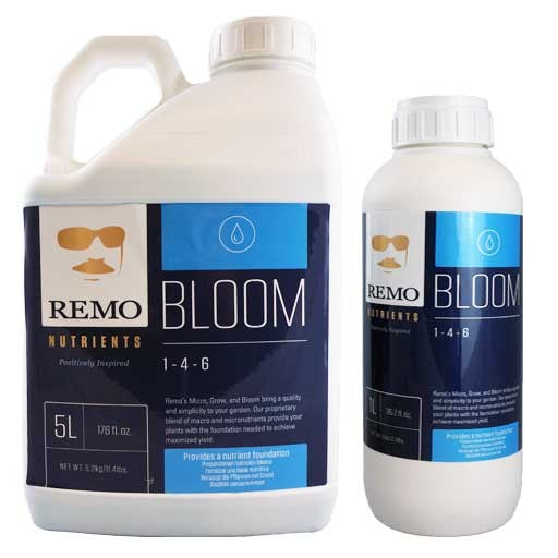 Remo - Bloom