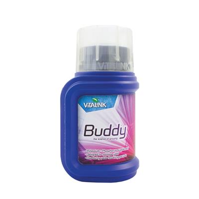 Vitalink - Buddy